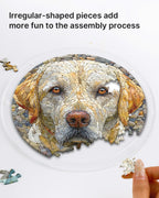 Stone Dog Light Suncatcher-Acrylic Window Art