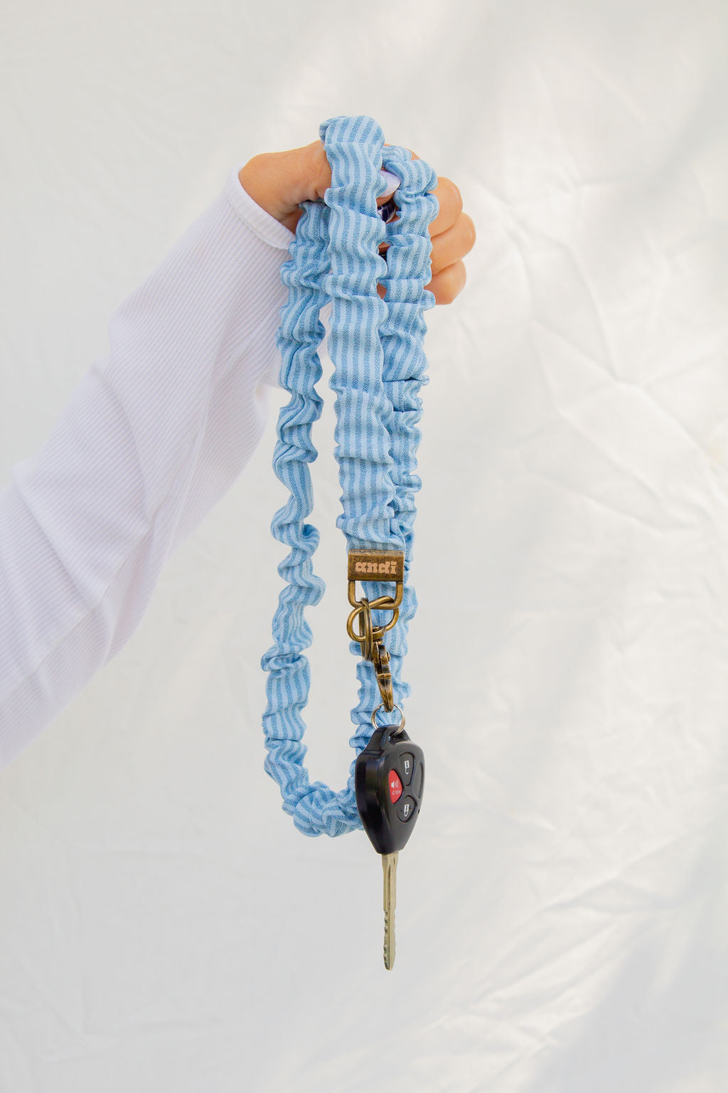 Blue Striped Lanyard