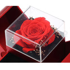 To My Love Preserved Rose & Necklace Set